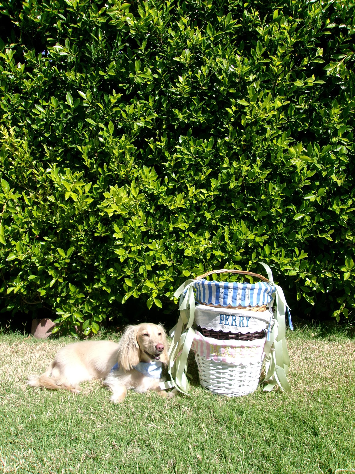 Custom Round Easter Basket with Scalloped Liner